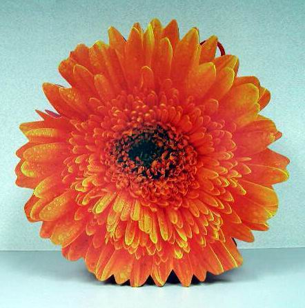 D - CUT  1401. Пакеты