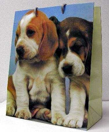 A 2350. Пакеты