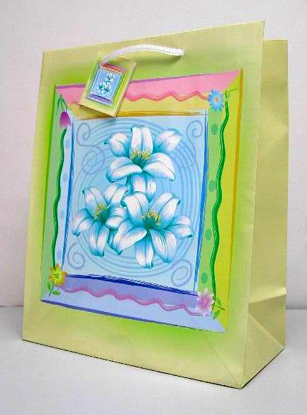 A 1080. Пакеты