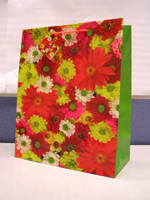 A 1068. Пакеты