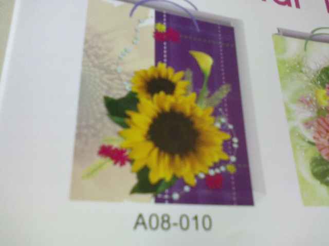 A 08-010. Пакеты