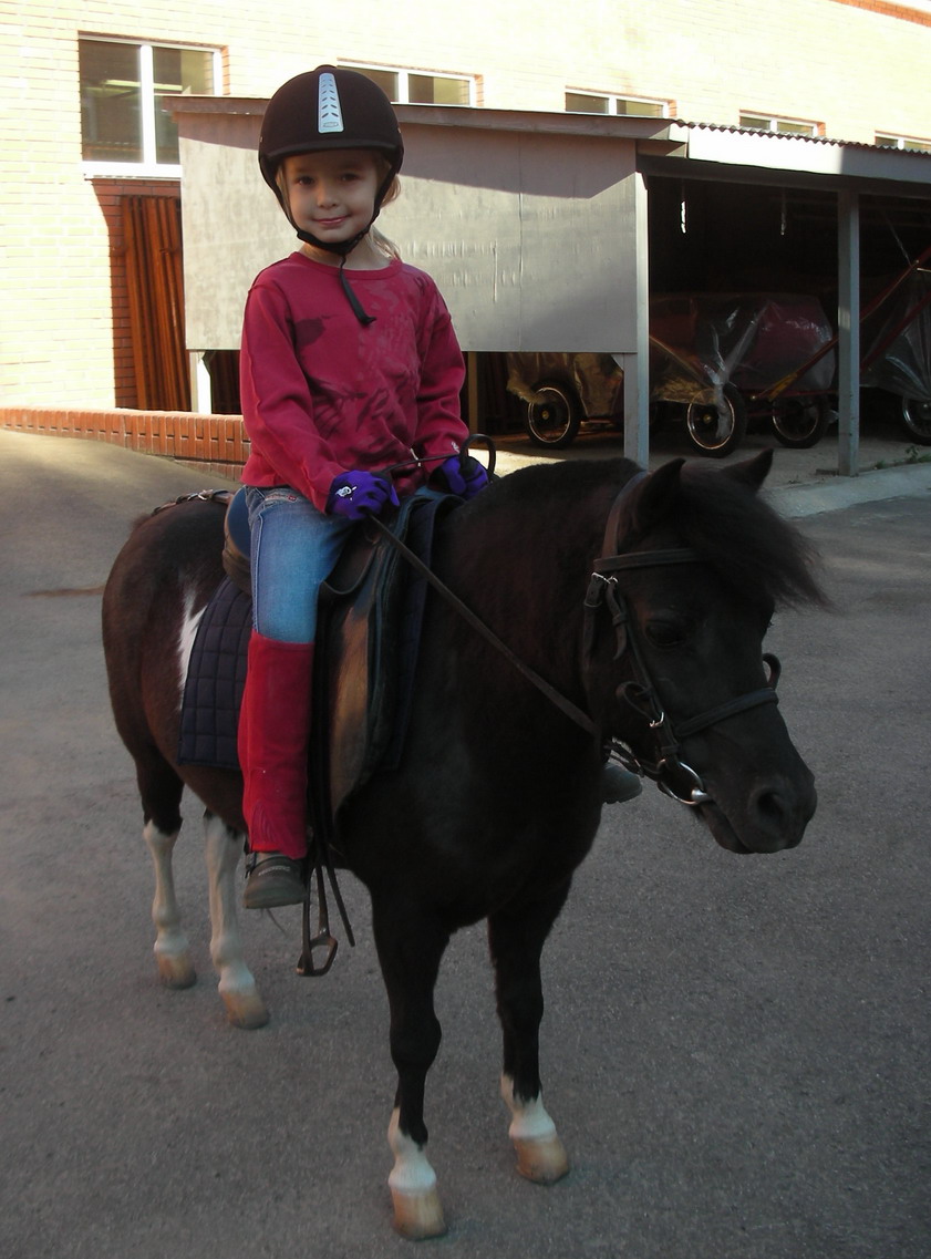 Новая папка