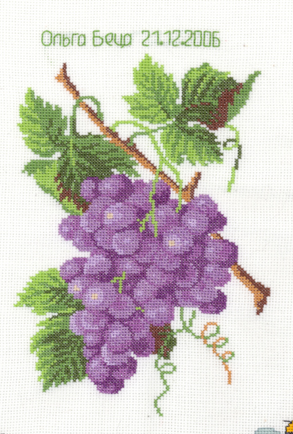 Виноград. 12 Round Robin