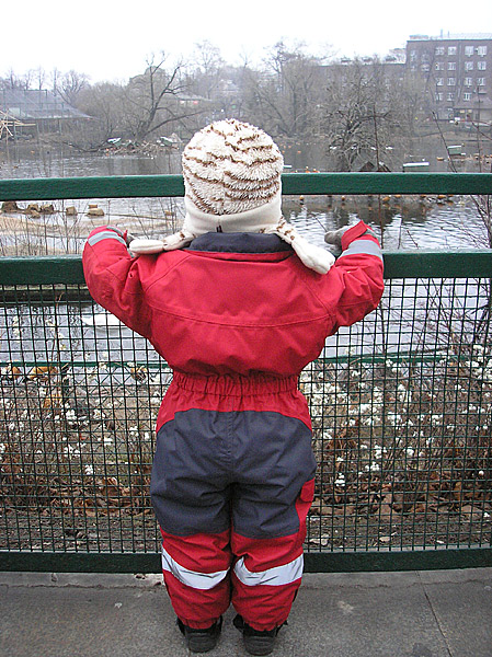 Комбез, вид сзади. Пруд в Московском зоопарке, вид спереди.. Дидрик