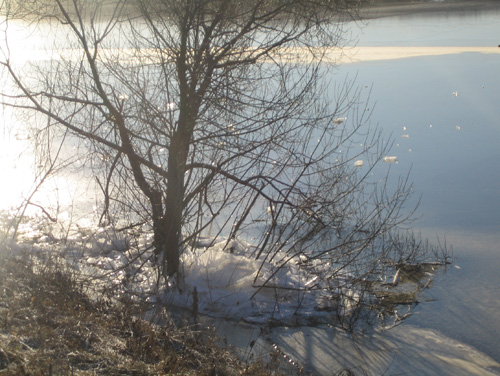 ВЛАДИМИР 21.12.08