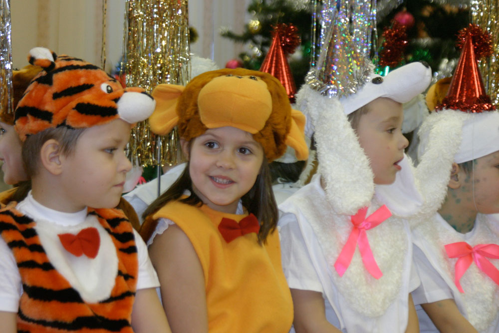 Новый год 09