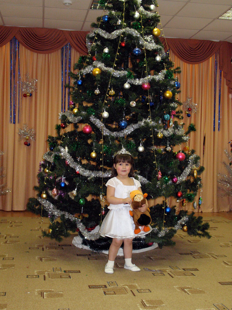 Новый год 09