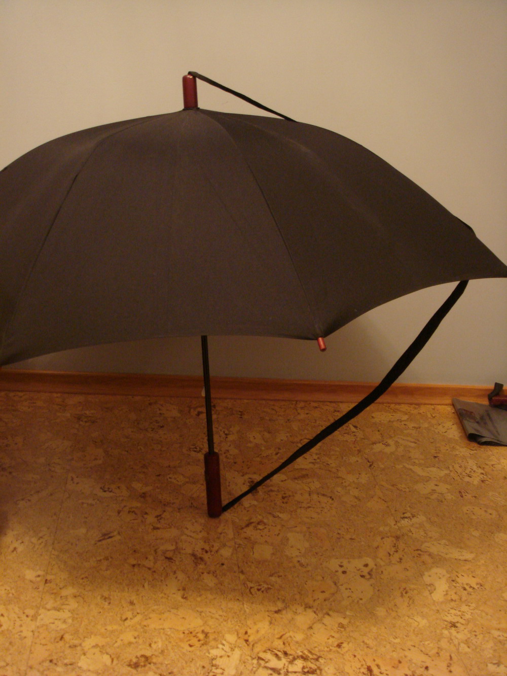 трость унисекс 300+50 с ремешком. старые модельки, старые расцветки