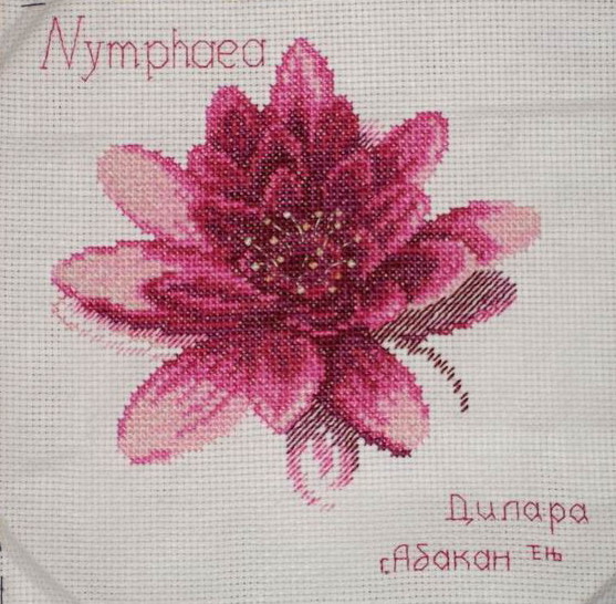 Тема 'Цветы'. Мотивы для робинов