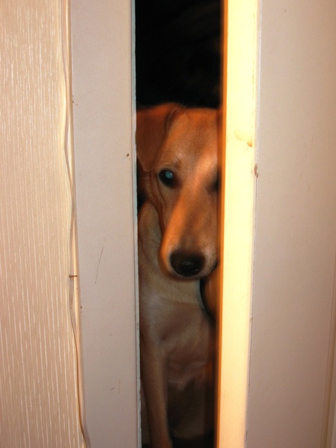 деликатная. ежедневная @