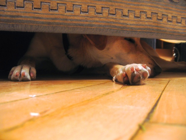 устала. ежедневная @