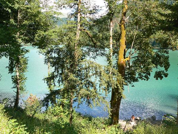 Адлер  (сентябрь)