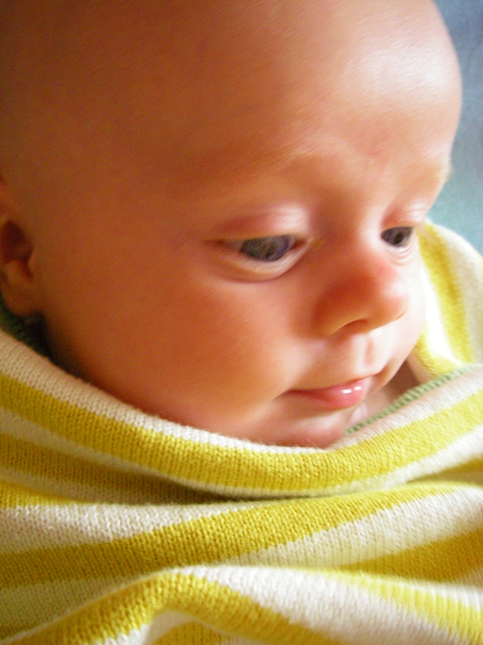 3 месяца. Вовка