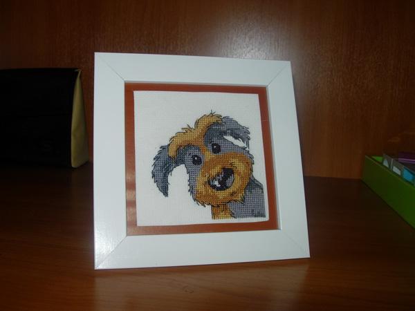 Собачка ДМС для ОП. 2007