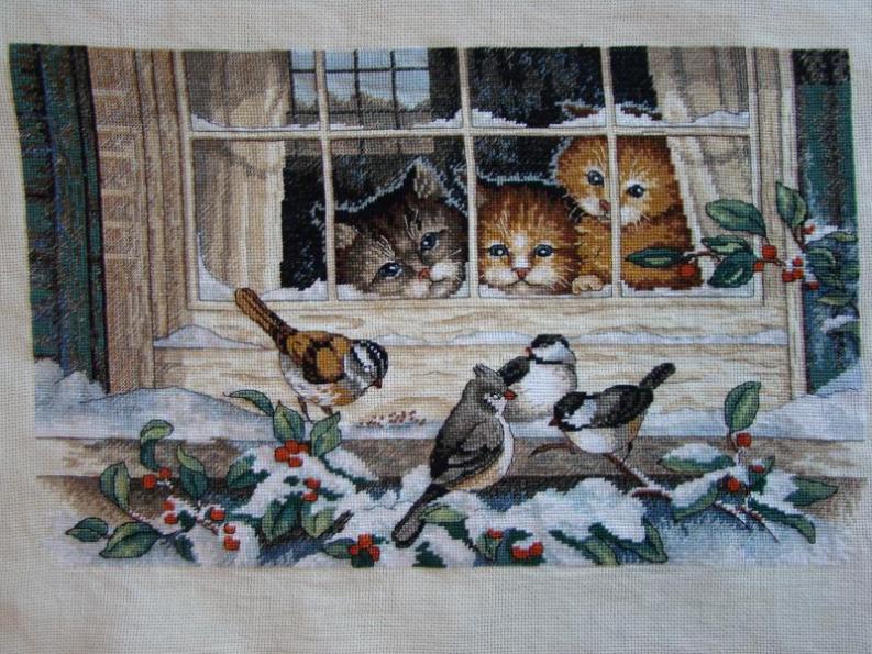 Наблюдатели ДИМ. 2007