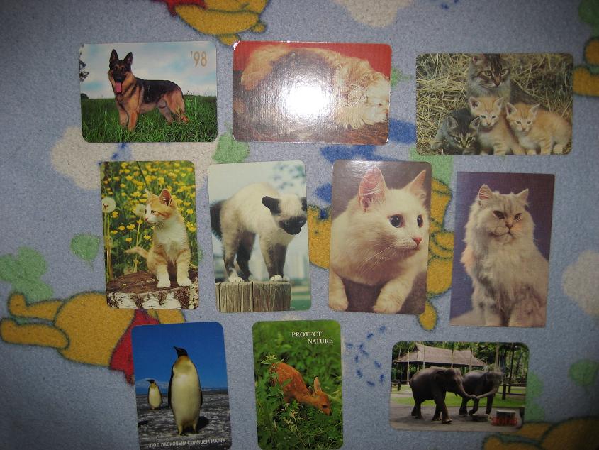 с животными. Карманные календарики