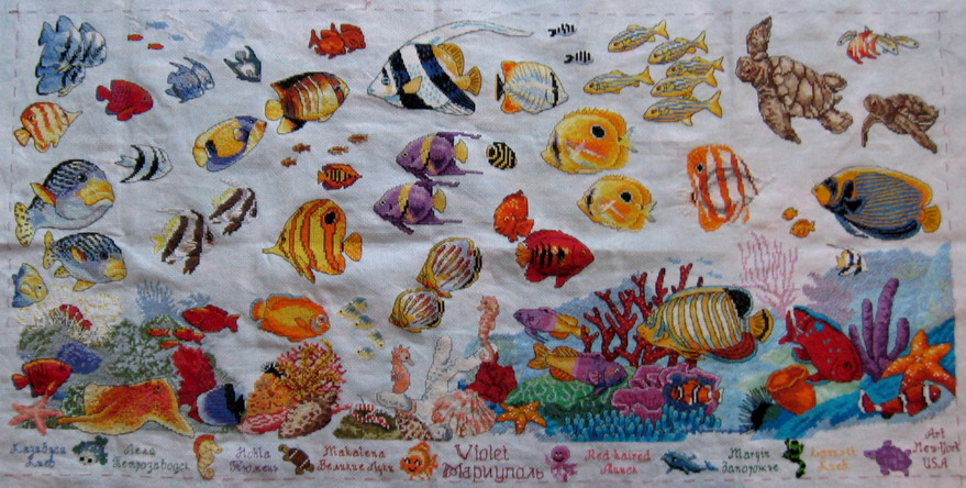 Аквариум. РОБИН 2007 