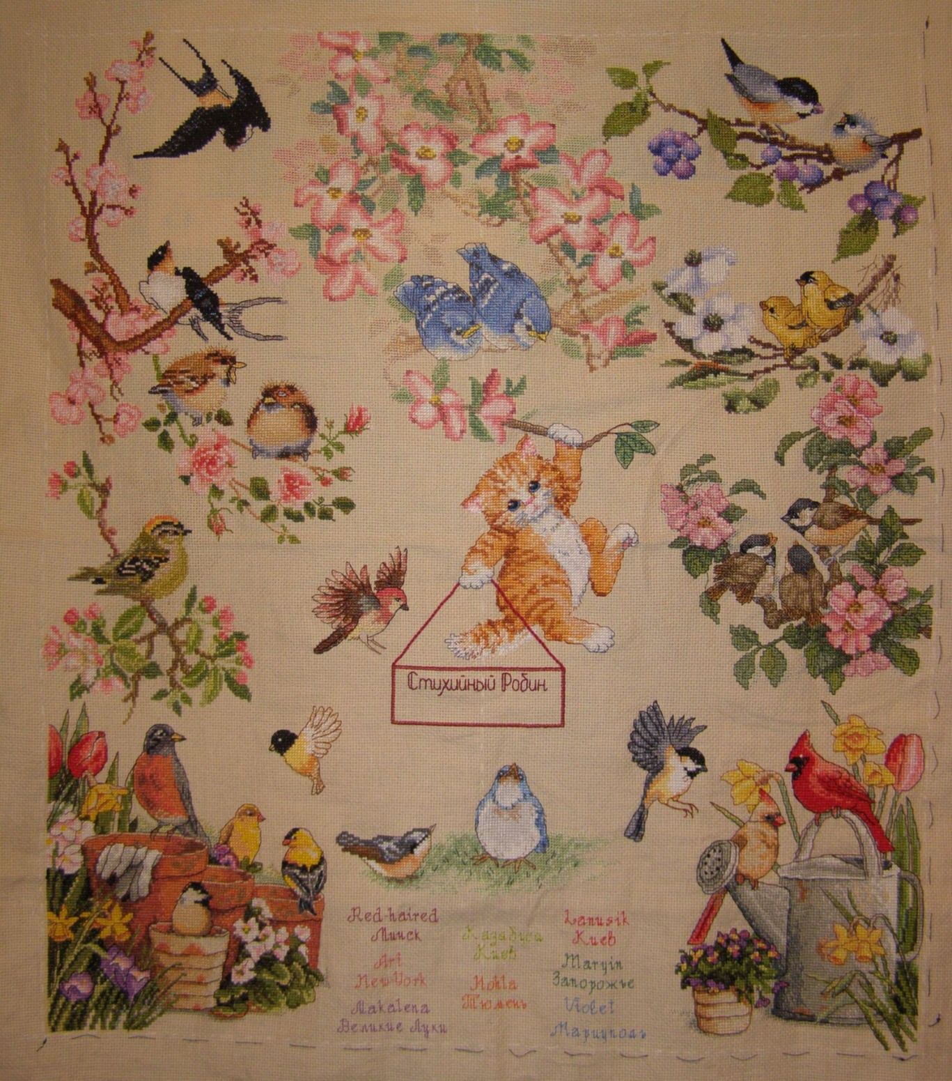 Птички в весеннем саду. РОБИН 2007 