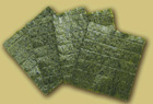 Водоросли прессованные ( Nori Green). СУШИ_1