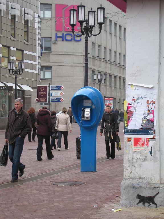 виден кусок дома связи. black cat sat on a mat