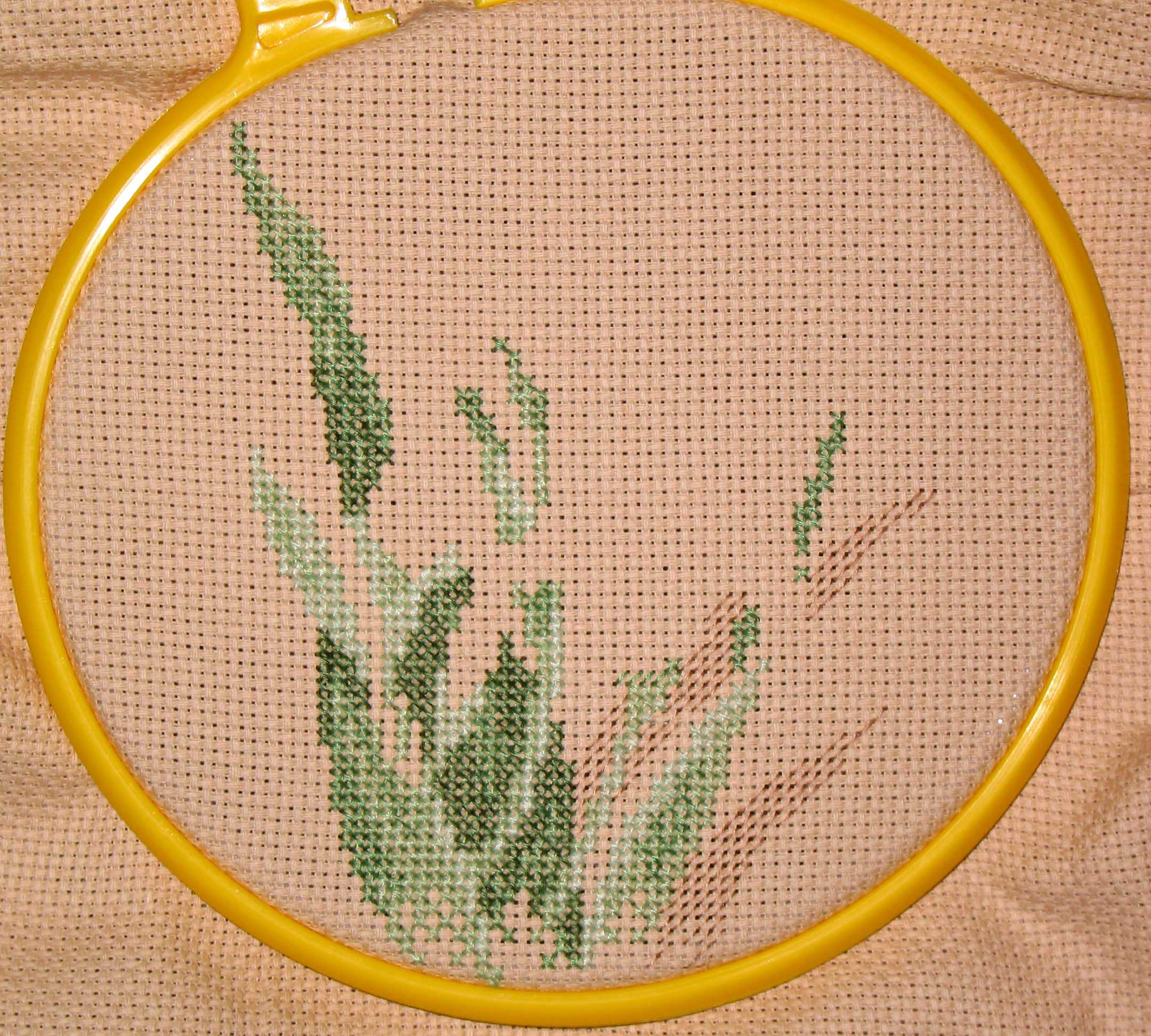 2 недели. Ирисы (закончены)