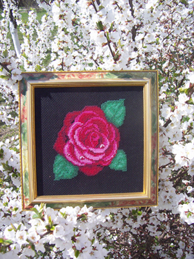 Роза. Мои работы