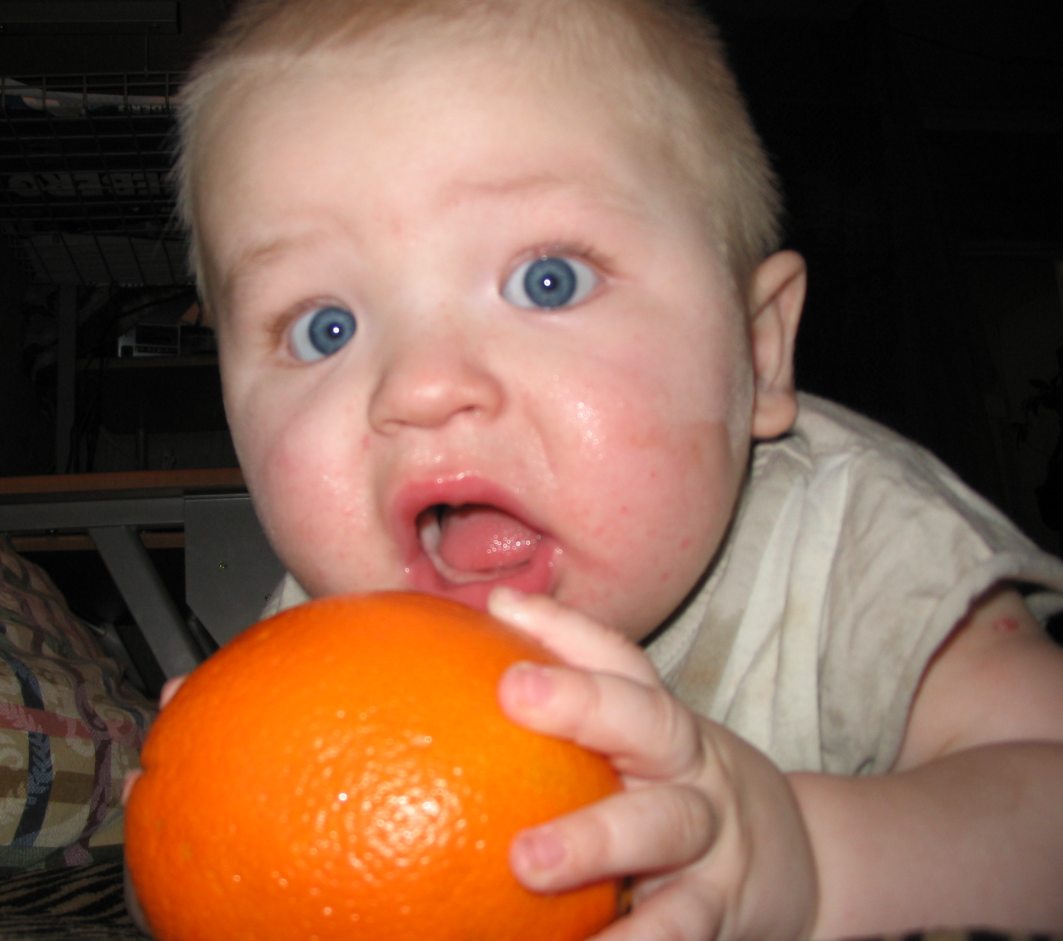 А кусить то нечем.... 