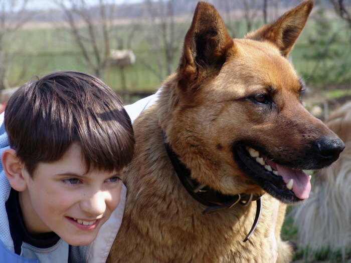 Вовка. Вовка