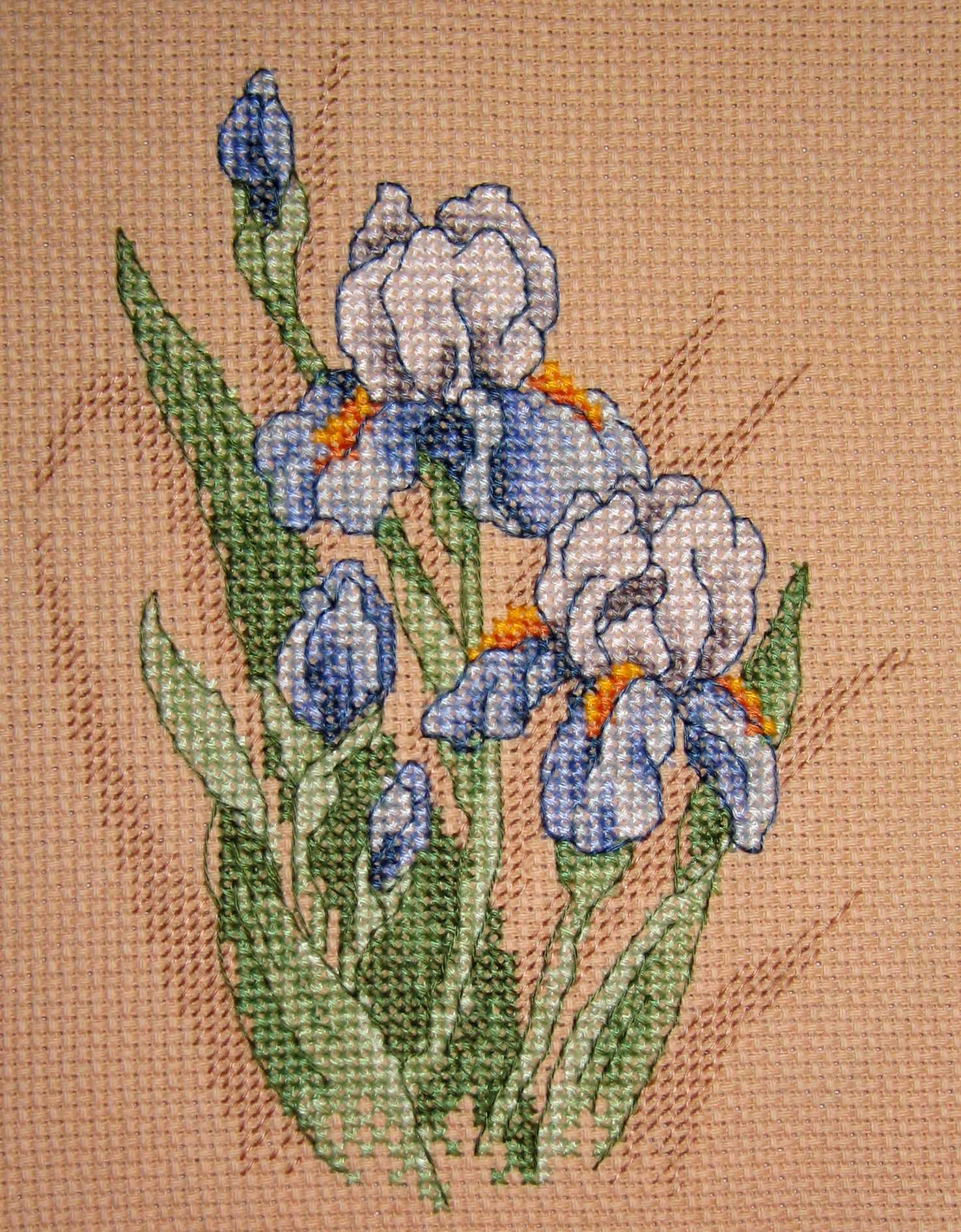 Ирисы готовы. Ирисы (закончены)