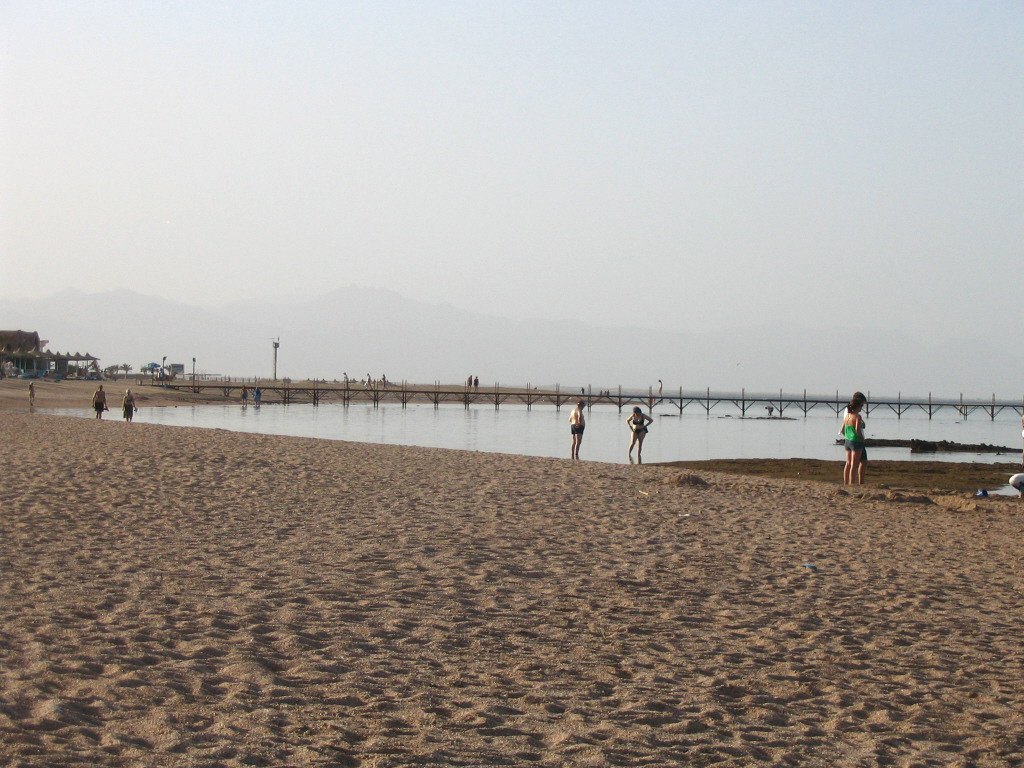 Egypt, ШэШ, май 2008г.