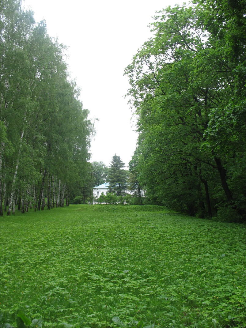 вид на дом графа Толстого. Ясная Поляна (май 2008). Фотоальбом участника  Layan