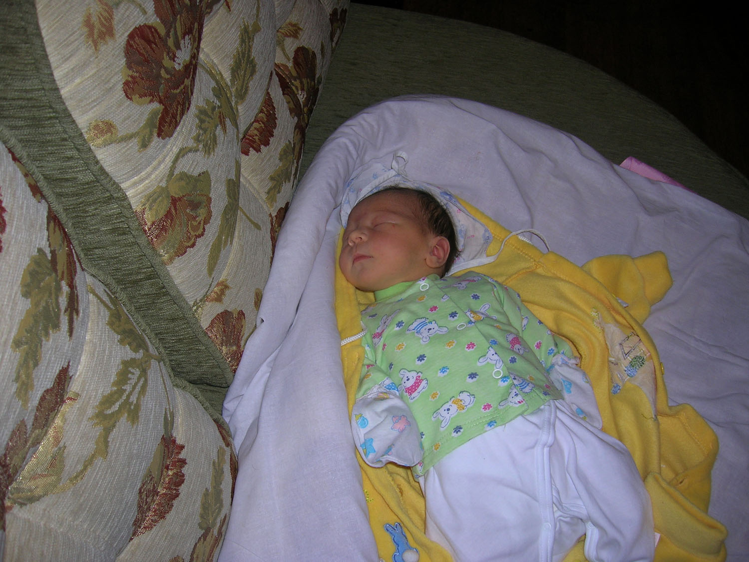 Вот и приехали домой!. Новая папка