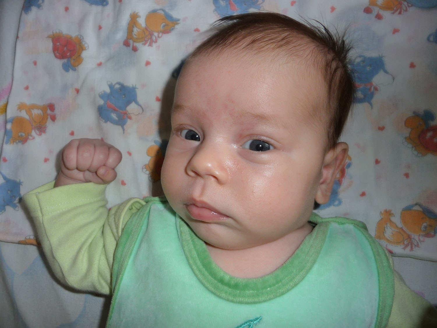 Новая папка