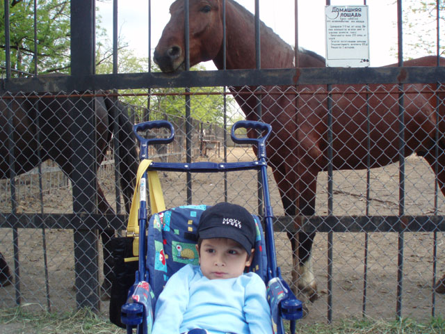 Бодя и лошади. 2007-2008