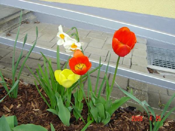 дружная семейка. 