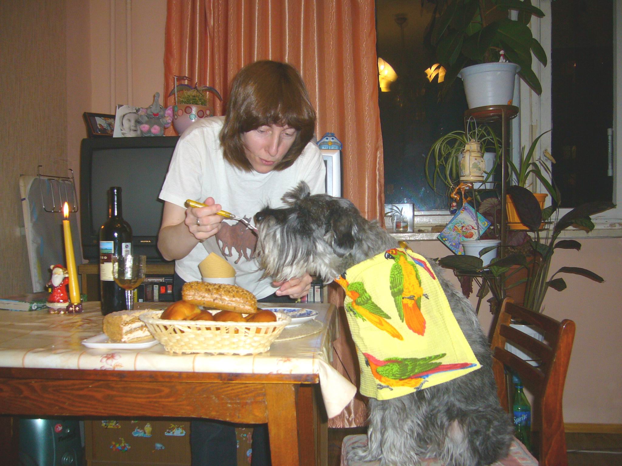 Пир на весь мир для мохнатого друга!. 