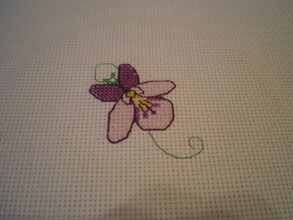 фиалка. ветер перемен