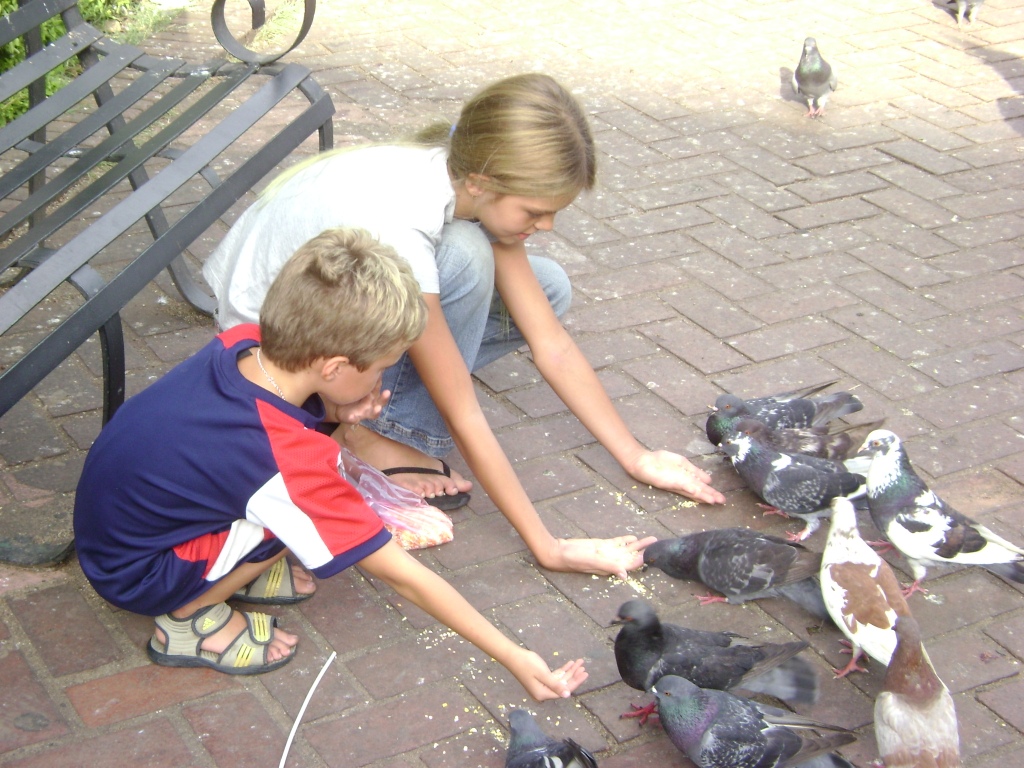 Санто Доминго