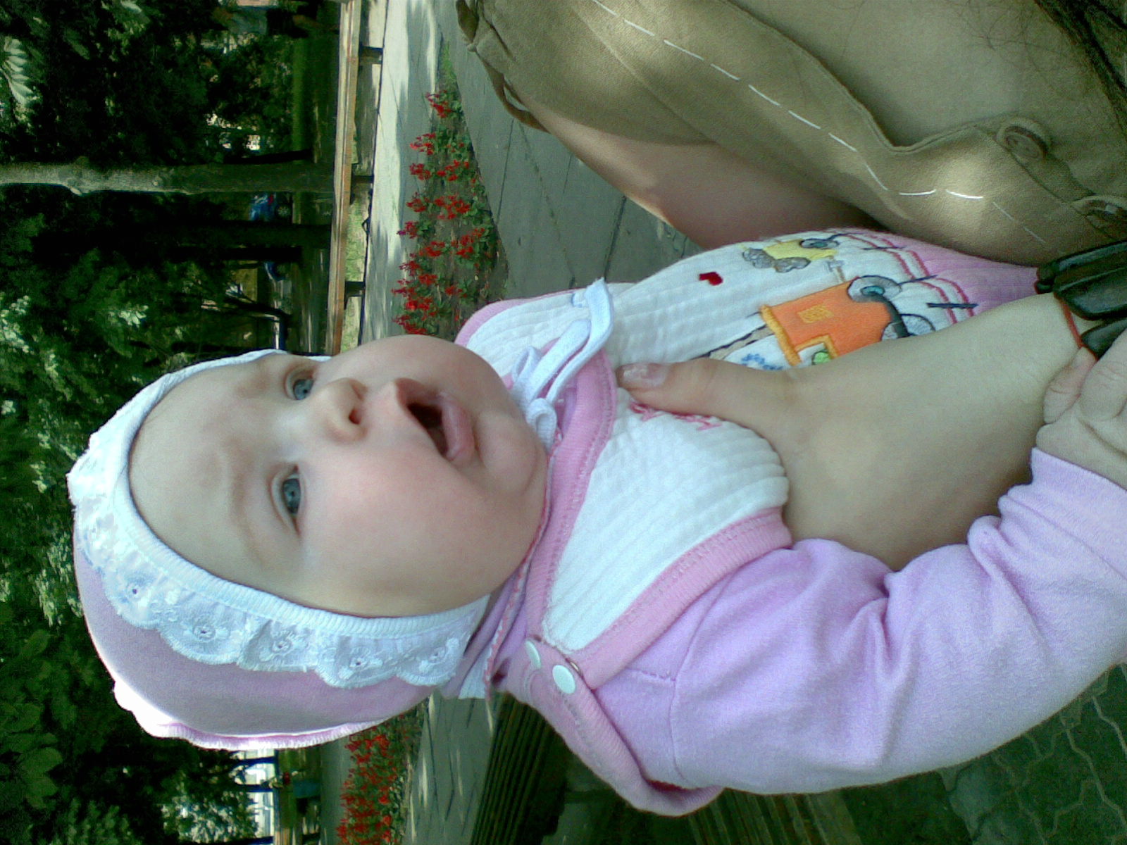 Ух ты!Голуби!!!. Мы