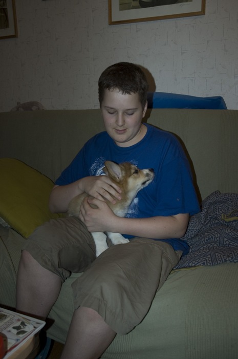 Почти Мурильо 'Мальчик с собакой'. Звери