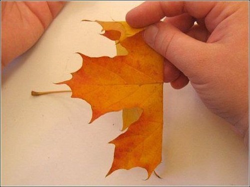 как сделать букет из кленовых листьев (пошаговая инструкция:-)