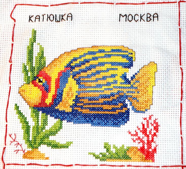 сюжет для Елены Денисовой. РОБИН 12 месяцев