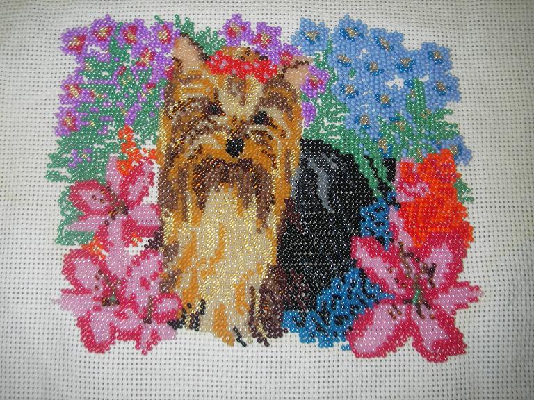 Грильмастер 3 июля 2008г.