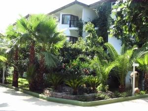 Turkey, Kemer jul. 2008