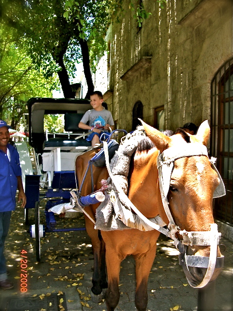 на весенних каникулах -весна2208. шляпа