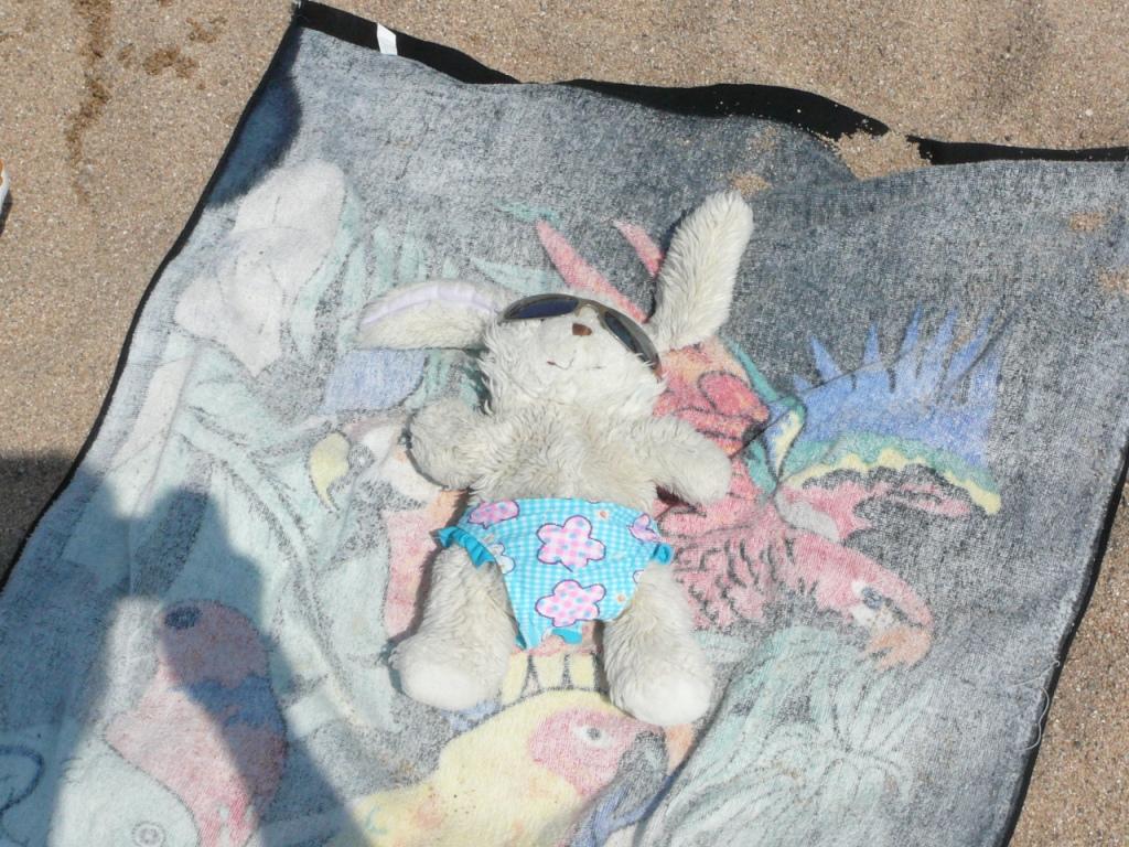 Куконя. Также член нашей семьи. Он путешествует с нами вот уже 7 лет.. Отель