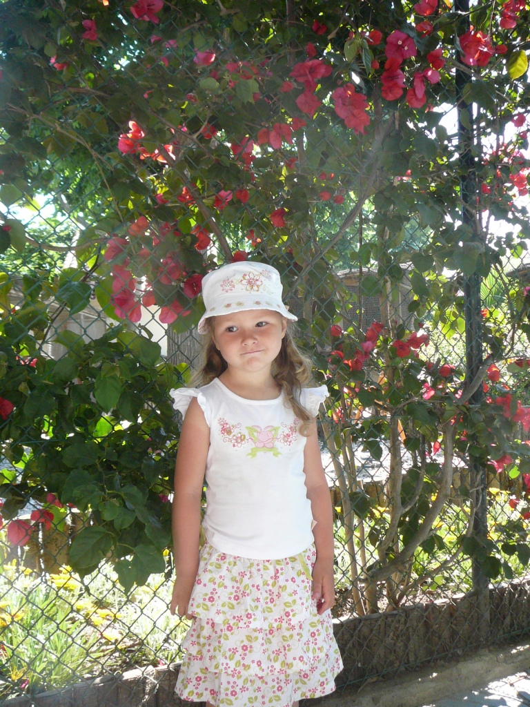 Дашенька. Отель