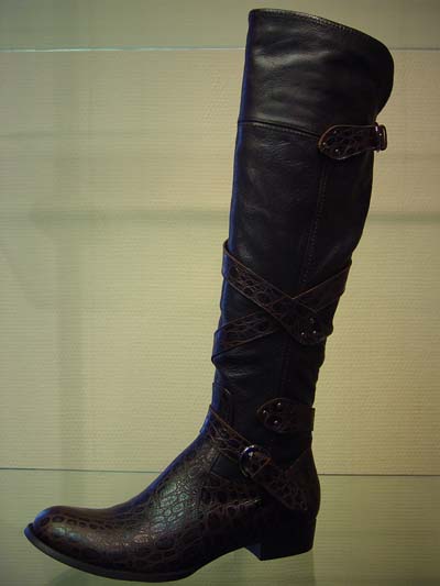 Гадские сапоги.. Новая папка