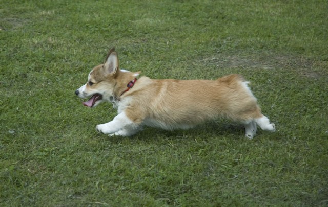 В Удельном парке. 20 августа 2008 г.