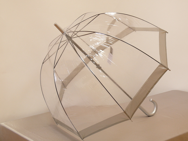 L041 трость. женские - трости